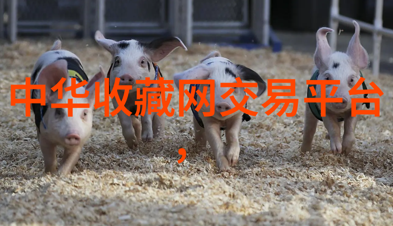双争有我 书香安次2024年安次区书法创作交流会活动