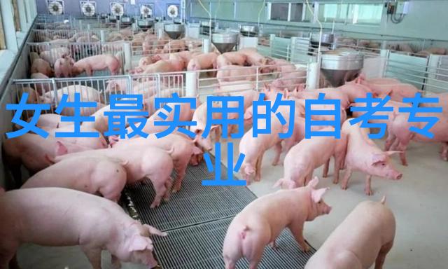 回民区文联开展文化遗产传承保护采风创作活动